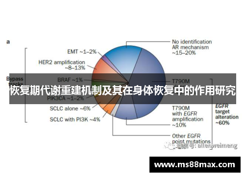 恢复期代谢重建机制及其在身体恢复中的作用研究